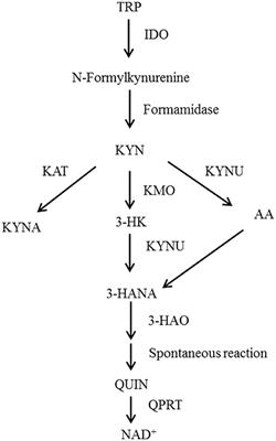 The Metabolic Factor Kynurenic Acid of Kynurenine Pathway Predicts Major Depressive Disorder